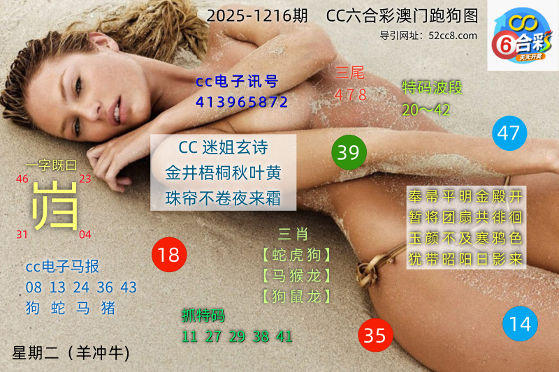 CC六合澳门跑马图1216期